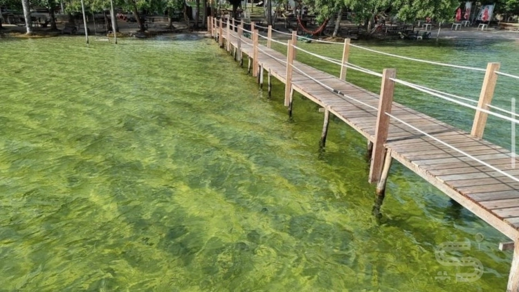 Imagem de vitrine